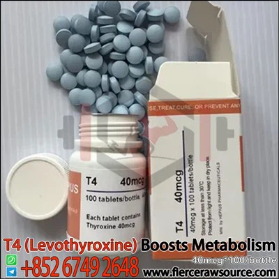 HEPIUS T4 (levotiroxina) 40 mcg CAS:51-48-9