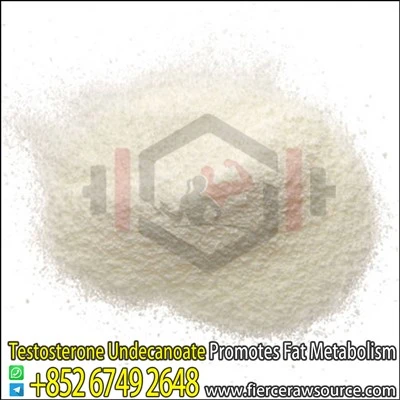 Pols cru d'undecanoat de testosterona CAS:5949-44-0